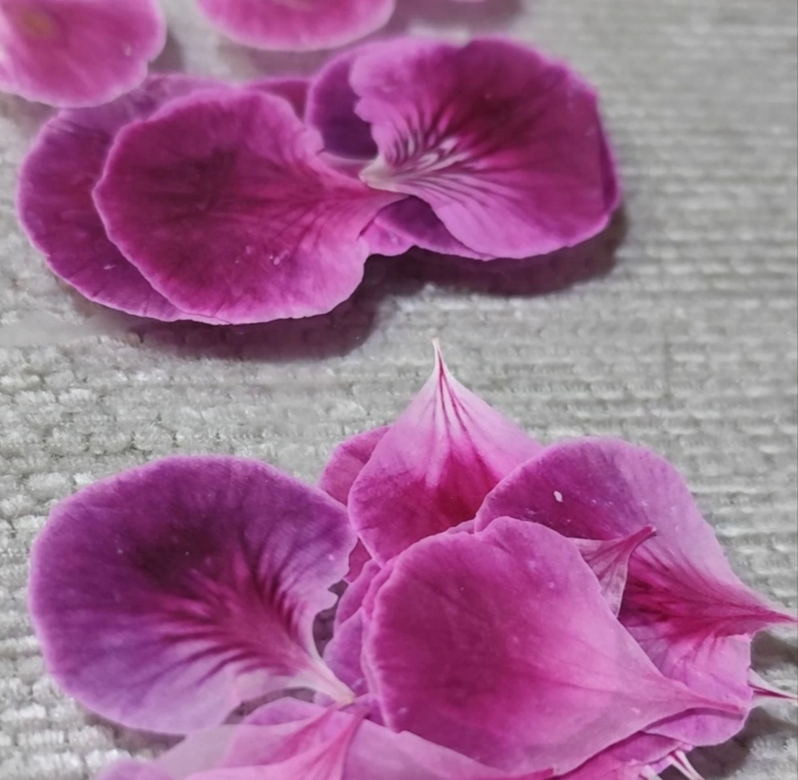 Oorbellen #Chinees geranium – photo 4